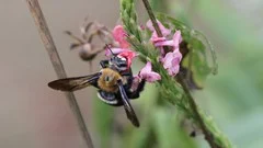 Ms Cooper’s IGCSE Biology: mastering the first 7 topics